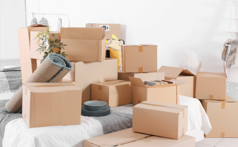 Household Storage Pokeno